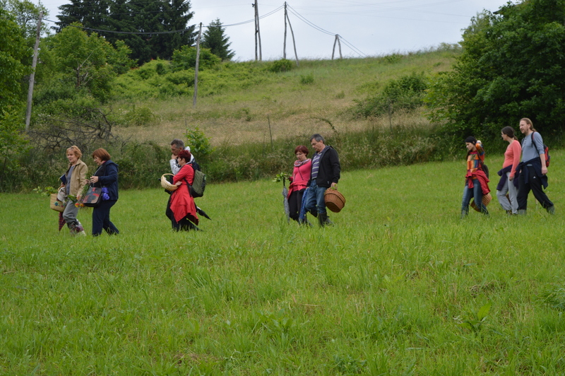 Zeliščarji 1 foto Špela Berič-001