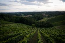 SlovenskeGorice Sosed-2017 foto Maček-3682