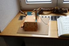 IMG 6926