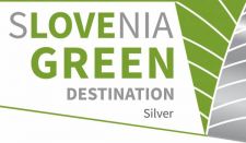logo destintion_silver