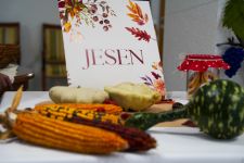 584761610 817061194568162 7594751753257407177 n